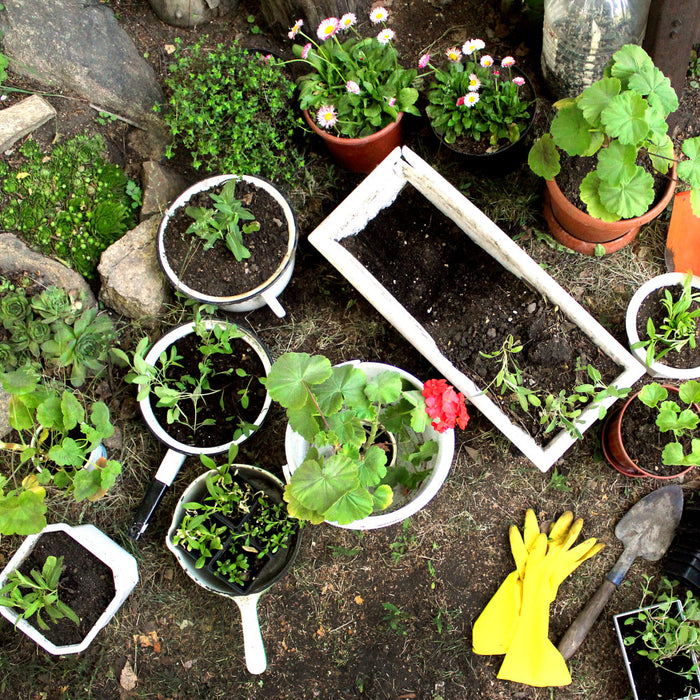 Garden supplies and outdoor decor collection cover image