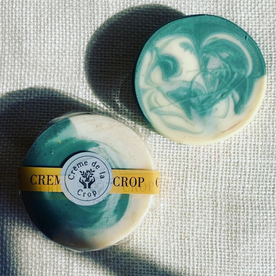 Doggie Shampoo - Rex & Regina