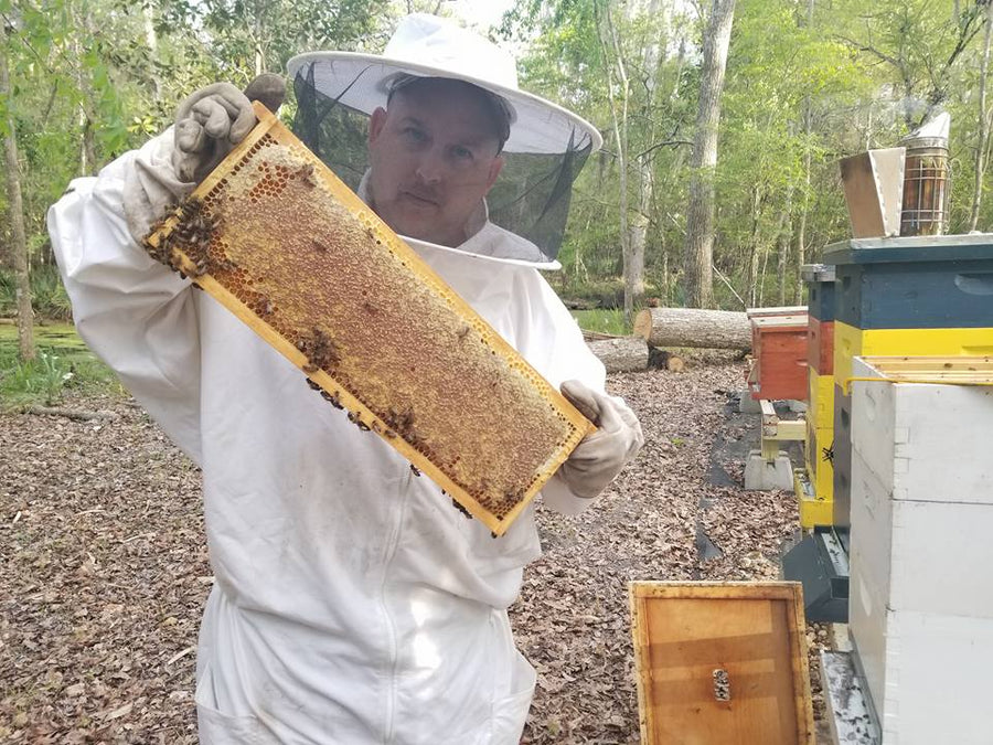 Beekeeper holding a honeycomb frame outdoors