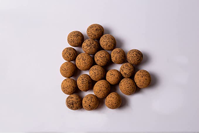 Product photograph for Chocolate Covered Sprouted Hazelnuts