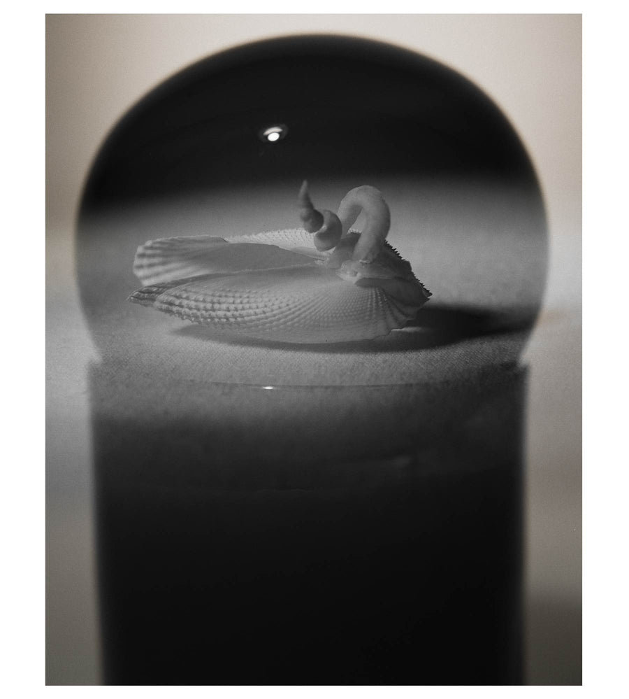 Monochrome candle photograph with a reflected sculptural form