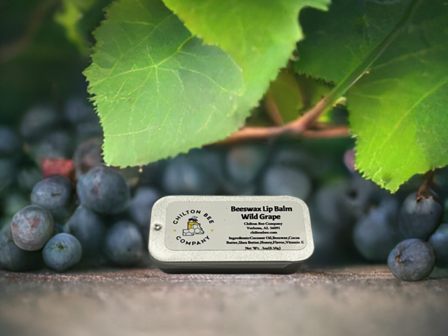 Lip Balm Tin | 0.3 oz | 100% Natural – product photo 3