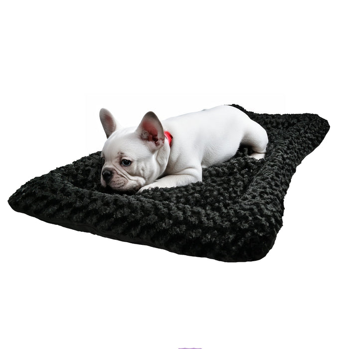 White dog resting on a black Cloud Furvana rectangle bolster dog bed