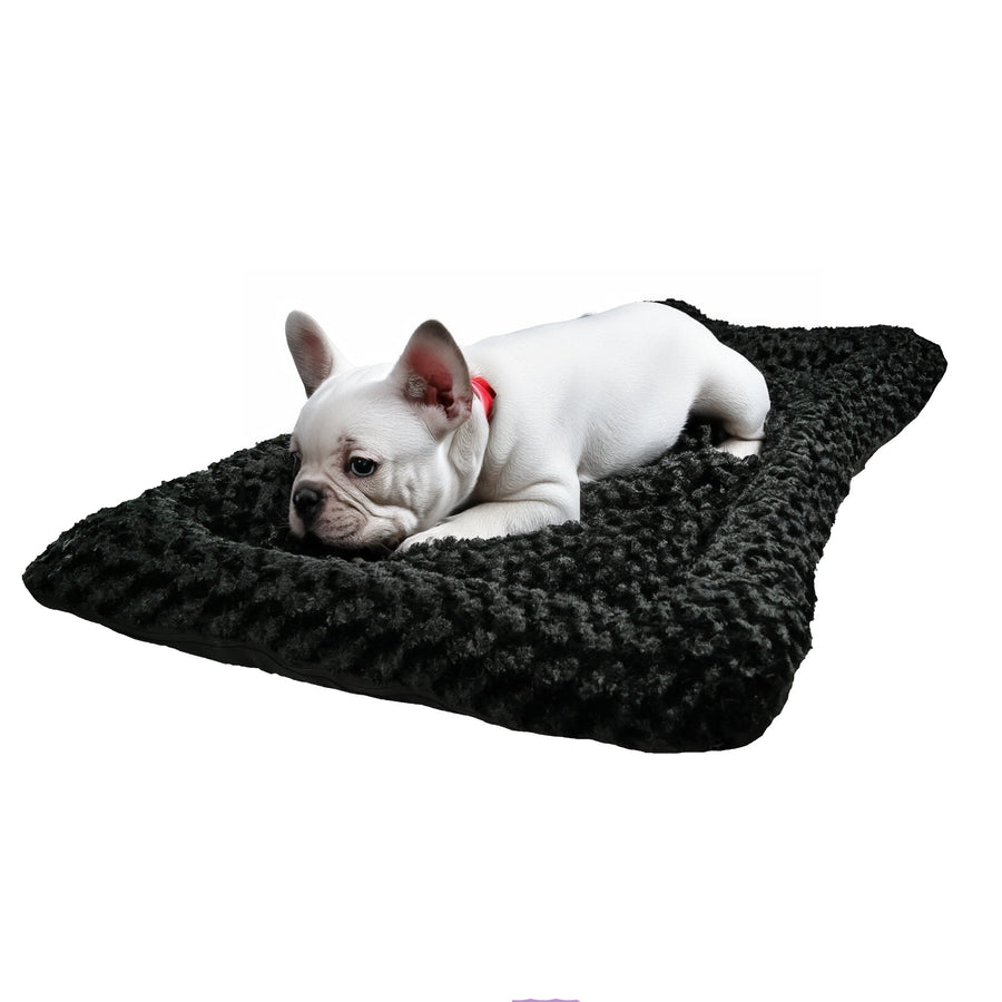 White dog resting on a black Cloud Furvana rectangle bolster dog bed
