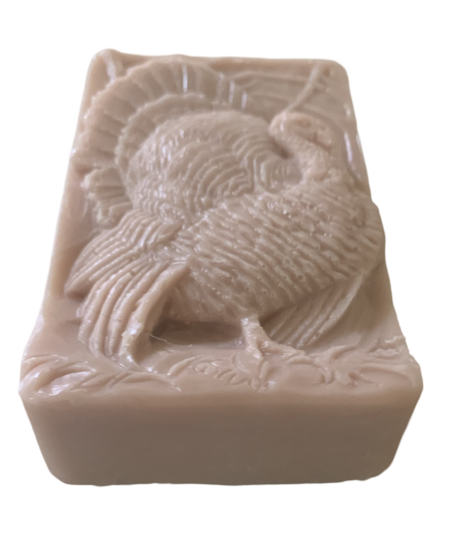 3D Turkey Bar of Soap