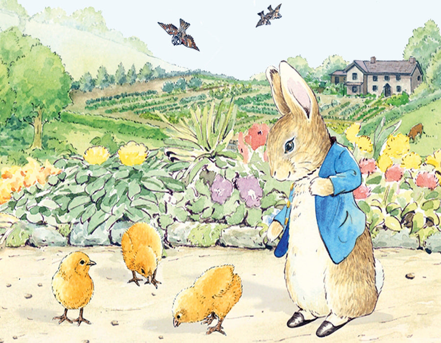 Beatrix Potter illustration of Peter Rabbit watching three chicks in a garden