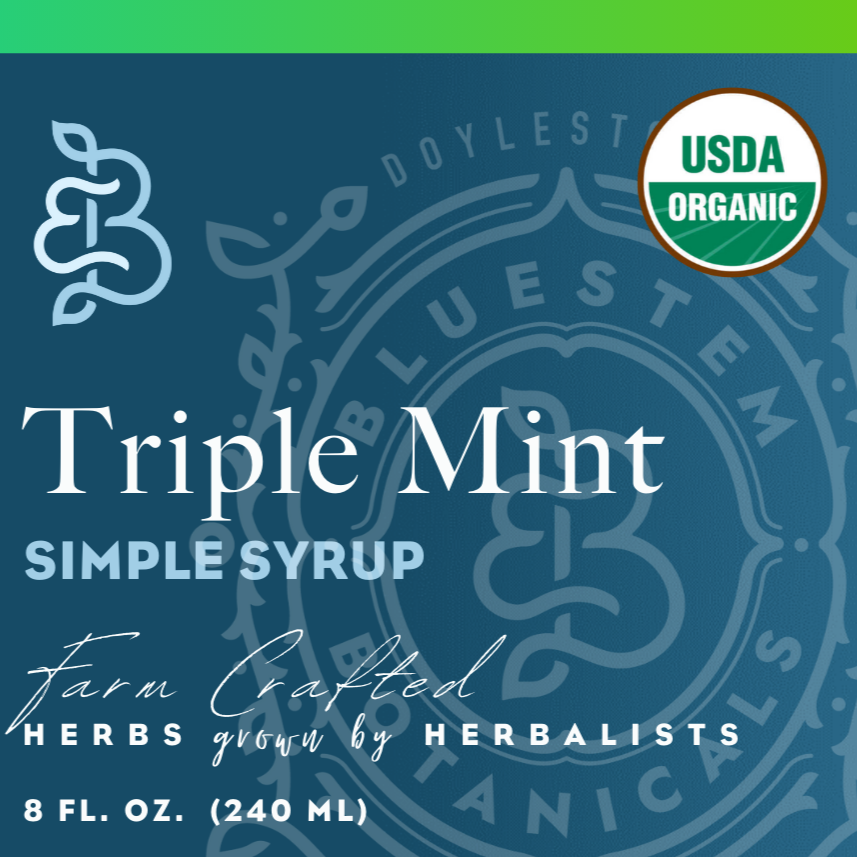 Organic Triple Mint Simple Syrup – botanical syrup photo 3