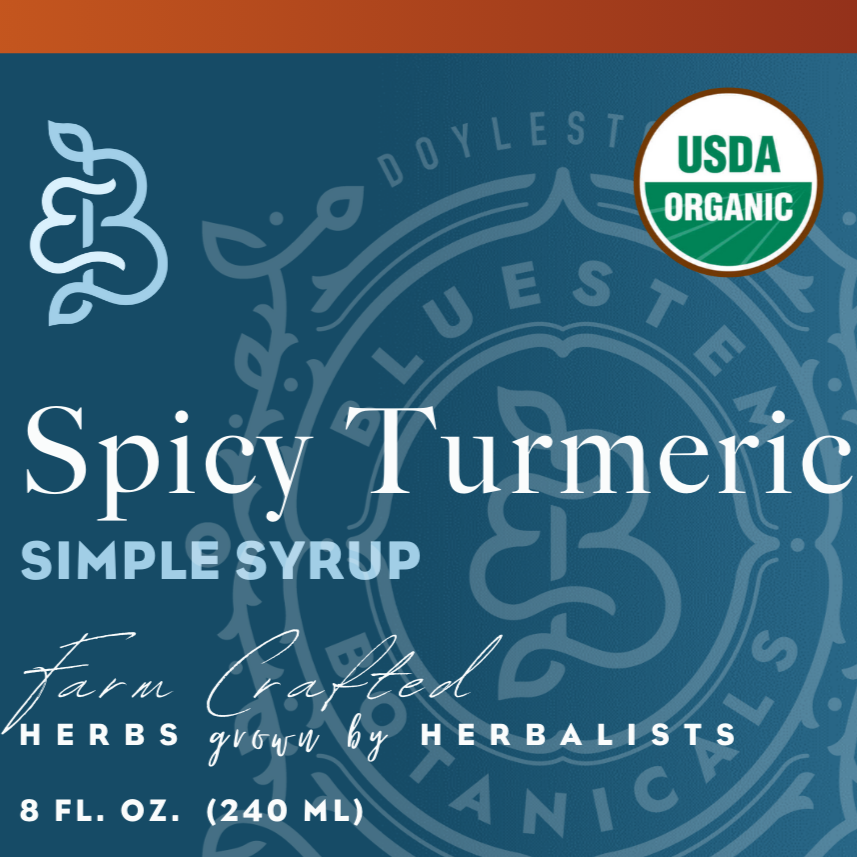 Organic Turmeric Simple Syrup – botanical syrup photo 3