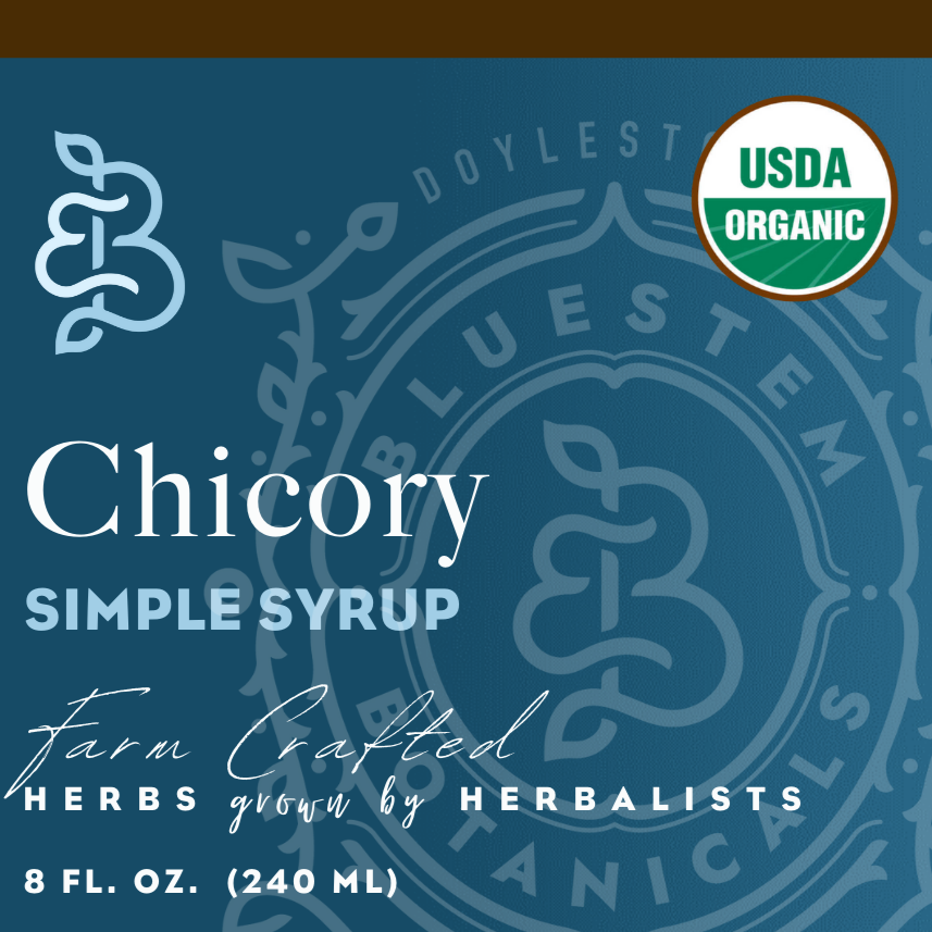 Organic Roasted Chicory Root Simple Syrup – botanical syrup photo 3