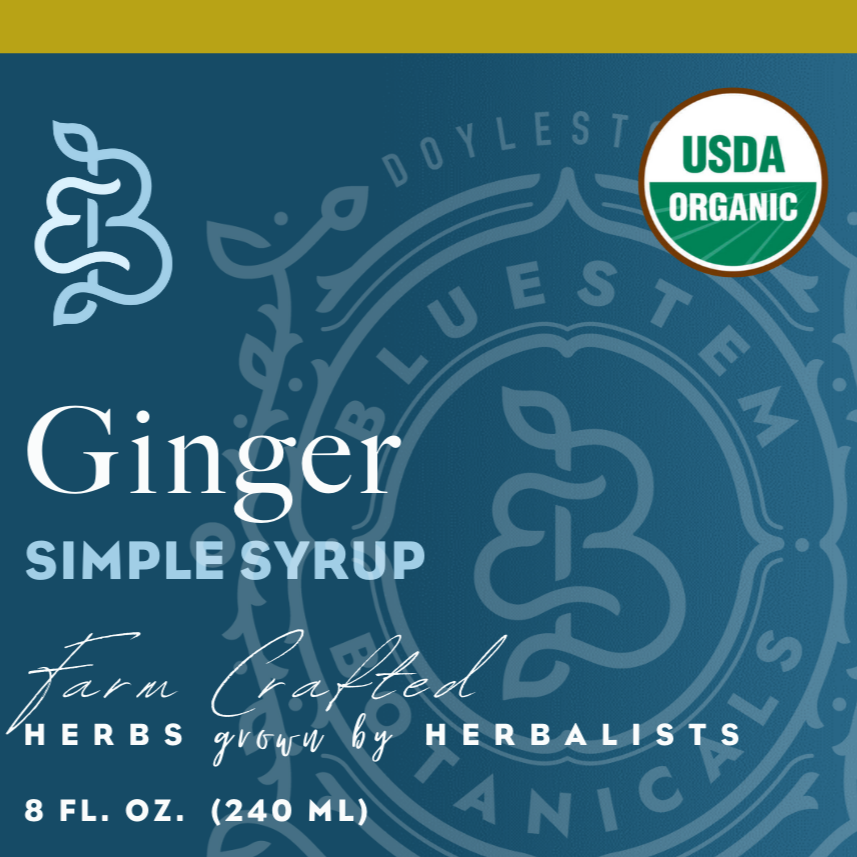 Organic Ginger Simple Syrup – botanical syrup photo 3