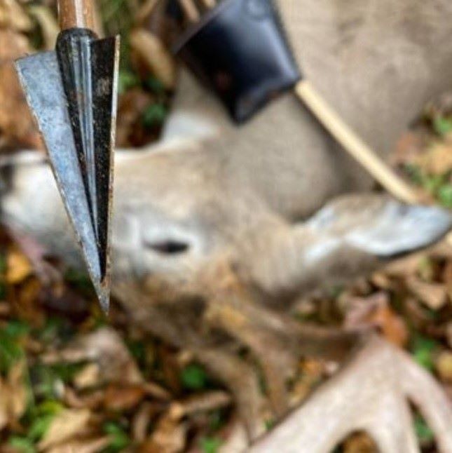 Glue-on broadhead mounted on an arrow outdoors