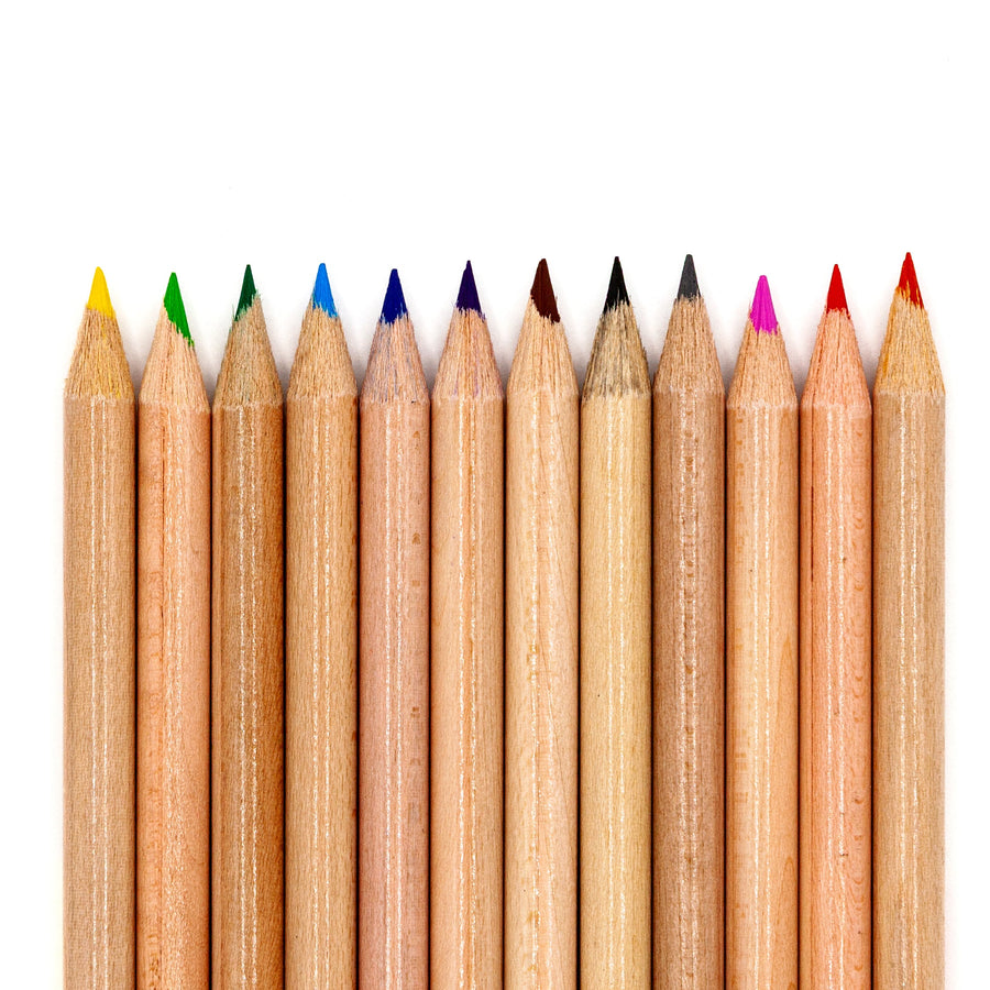 Twelve sharpened colored pencil points arranged in a row