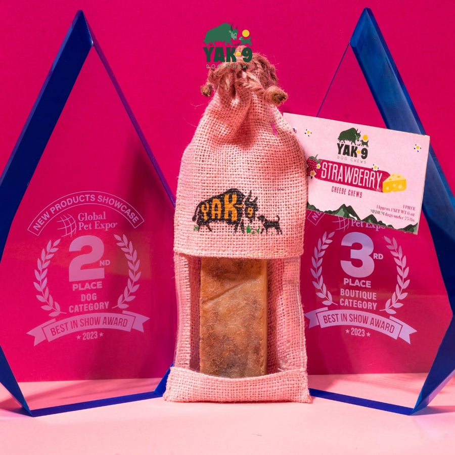 Strawberry Cheese Chews for Dogs