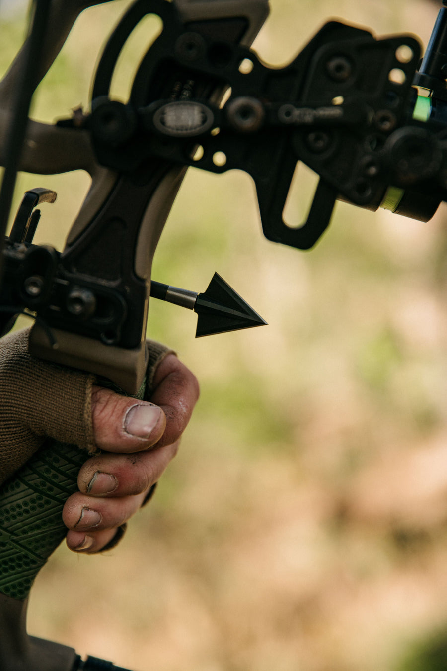 Double-bevel broadhead on an arrow resting on a bow