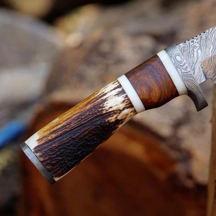Damascus Steel Hunting Knife – 10" with Damascus Steel Guard & Stag Horn Handle, Includes Leather Sheath