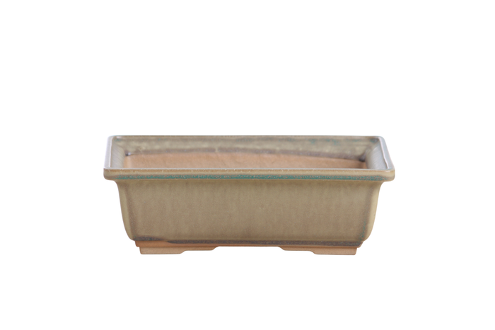 8-Inch Rectangle Bonsai Pot - Speckled Moss