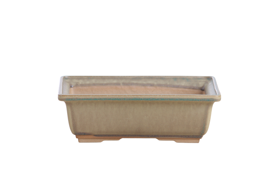 8-Inch Rectangle Bonsai Pot - Speckled Moss
