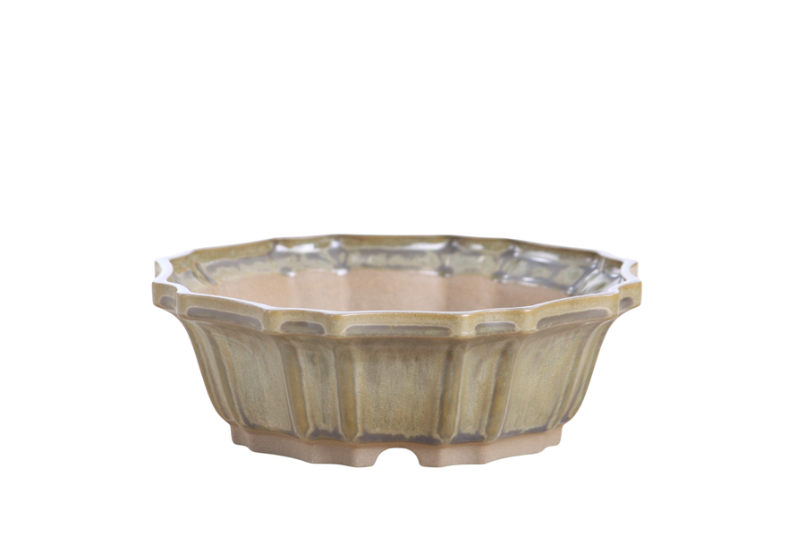 6.5-Inch Flower Bonsai Pot - Copenhagen
