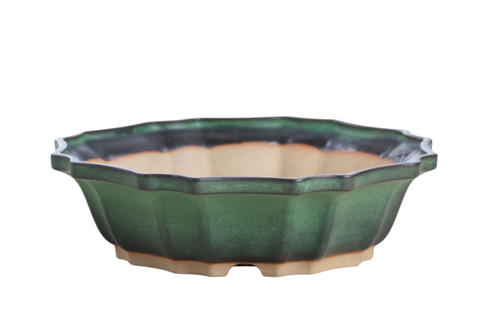 10-Inch Flower Bonsai Pot - Avocado