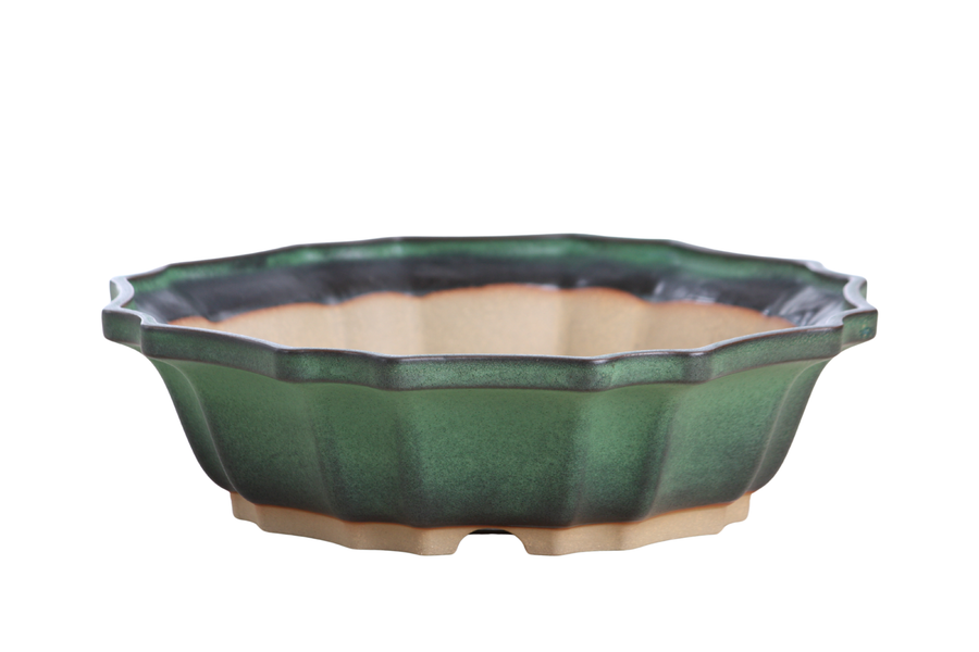 10-Inch Flower Bonsai Pot - Avocado