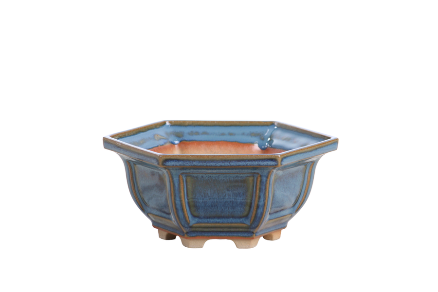 5-Inch Hexagonal Windowed Bonsai Pot - Peacock 2025