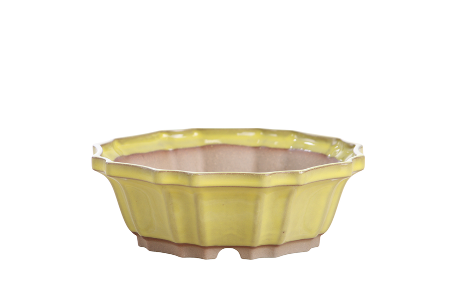 6.5-Inch Flower Bonsai Pot - Yellow