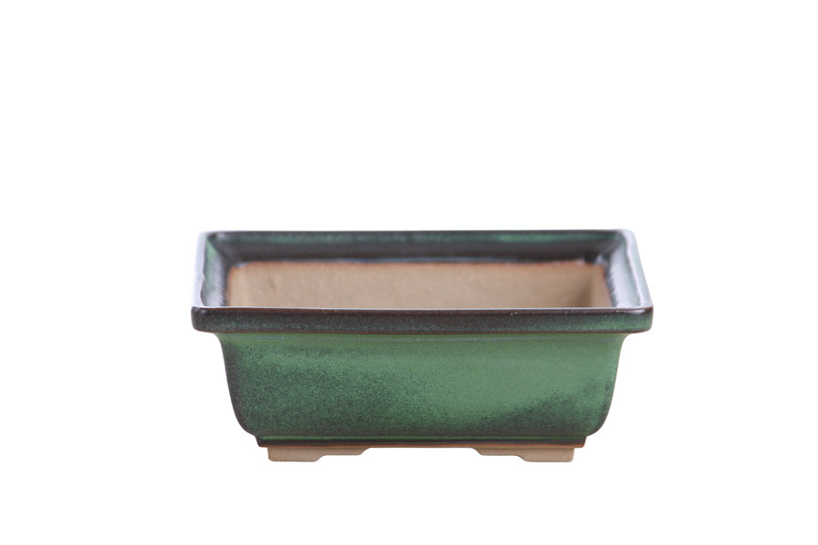6-Inch Square Bonsai Pot - Avocado