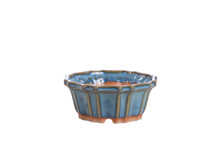 4.5-Inch Flower Bonsai Pot - Peacock 2025