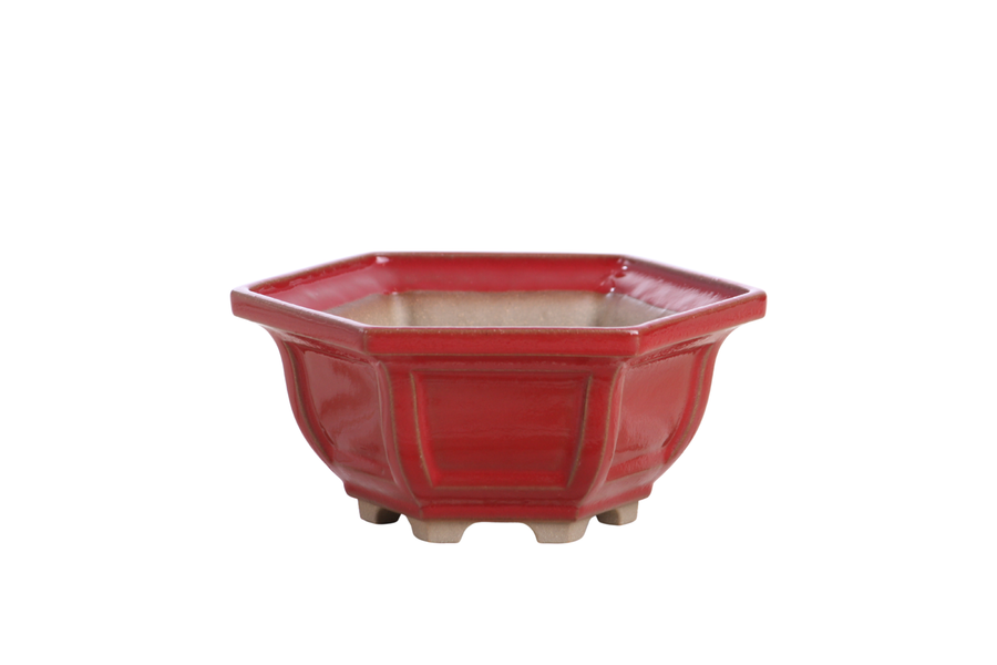 5-Inch Hexagonal Windowed Bonsai Pot - Red