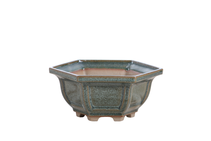5-Inch Hexagonal Windowed Bonsai Pot - Seaweed 2025