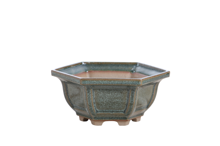 5-Inch Hexagonal Windowed Bonsai Pot - Seaweed 2025