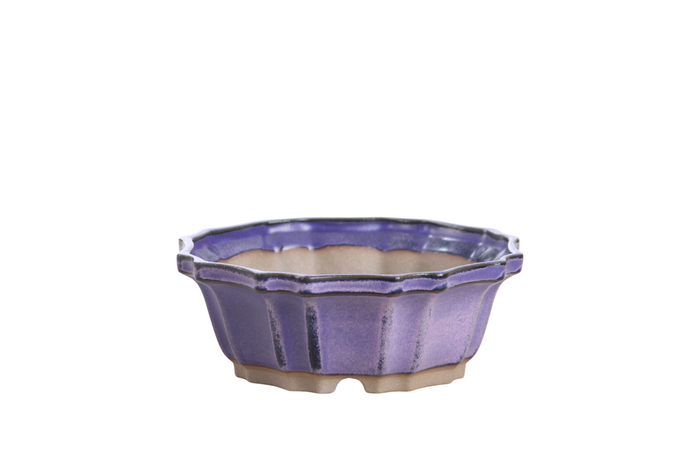 5-Inch Flower Bonsai Pot - Purple