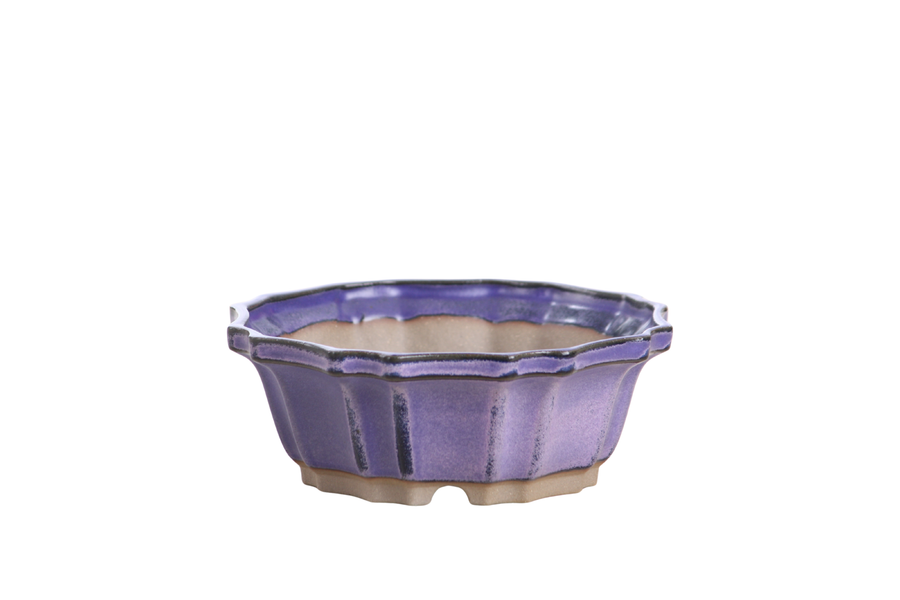 5-Inch Flower Bonsai Pot - Purple
