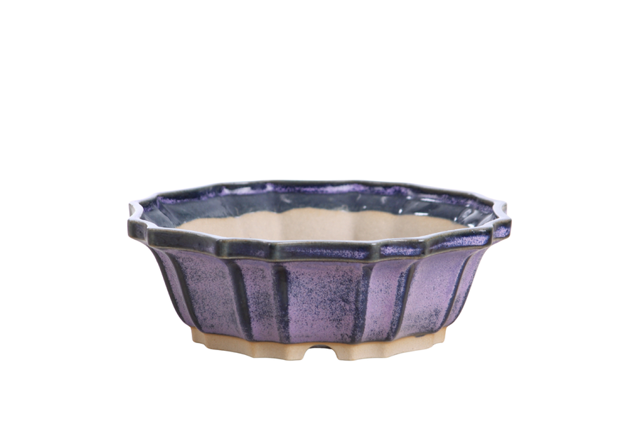 6.5-Inch Flower Bonsai Pot - Purple