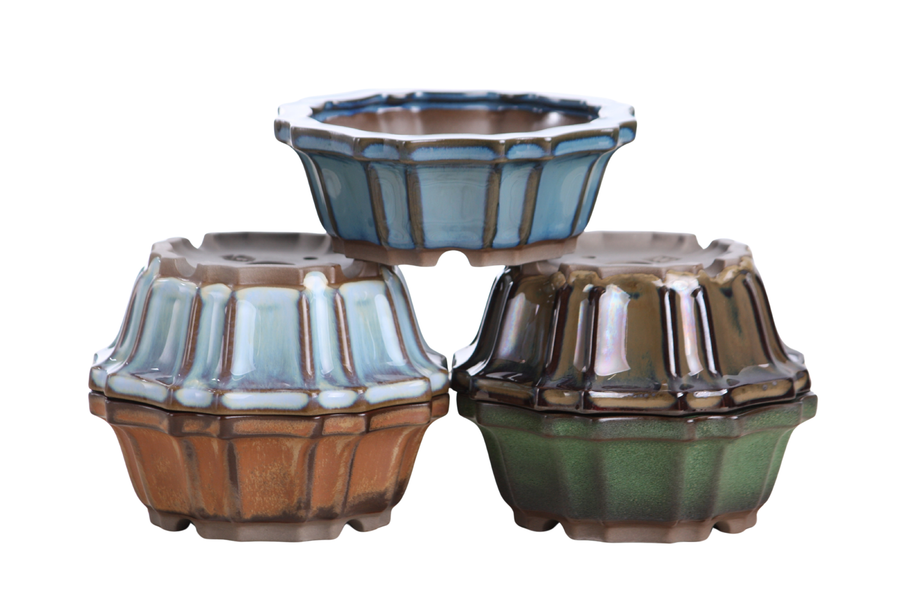 5-Inch Flower Bonsai Pot - Peacock 2025