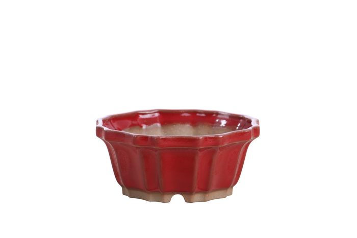 4.5-Inch Flower Bonsai Pot - Red