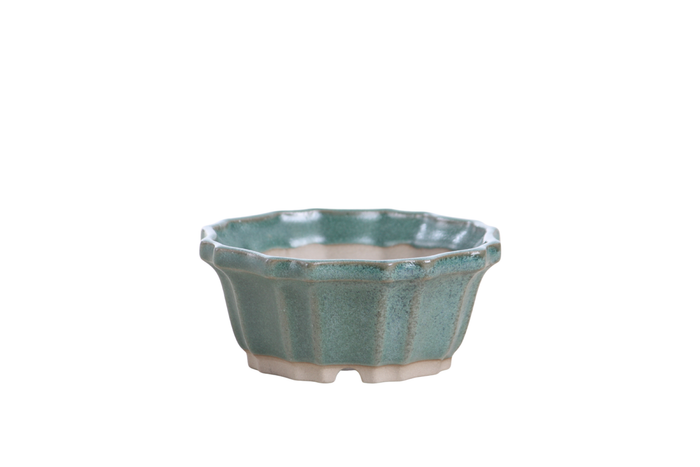 4.5-Inch Flower Bonsai Pot - Seaweed 2023