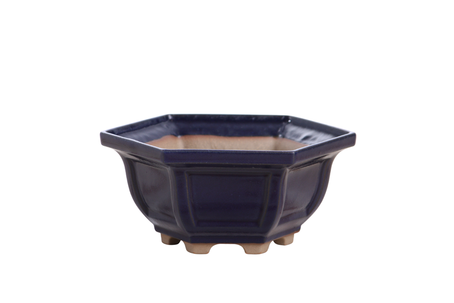 5-Inch Hexagonal Windowed Bonsai Pot - Ruri