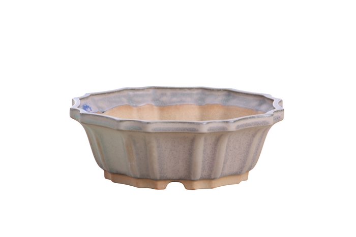 6.5-Inch Flower Bonsai Pot - Ocean