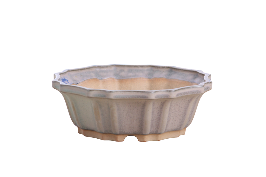 6.5-Inch Flower Bonsai Pot - Ocean