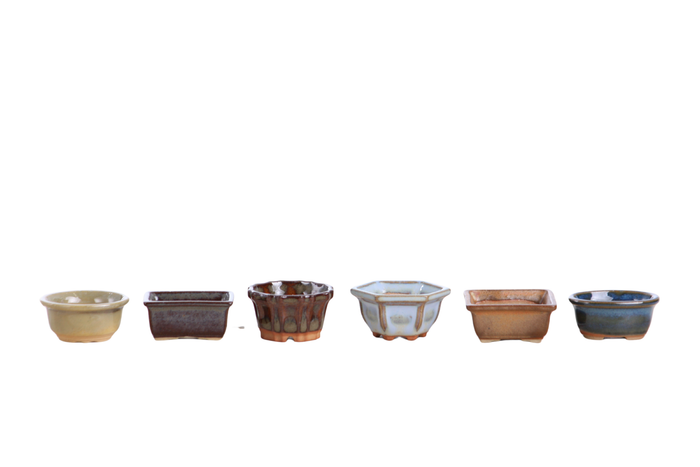 Mini Shito Bonsai Pots, 1.5 Inch - Set of 6, Set A