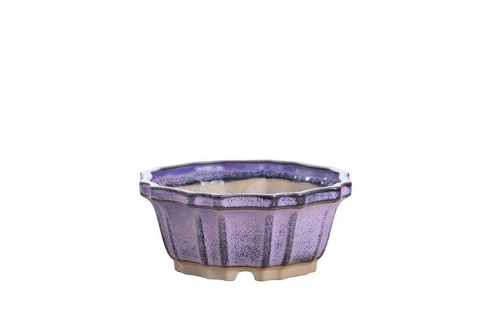 4.5-Inch Flower Bonsai Pot - Purple