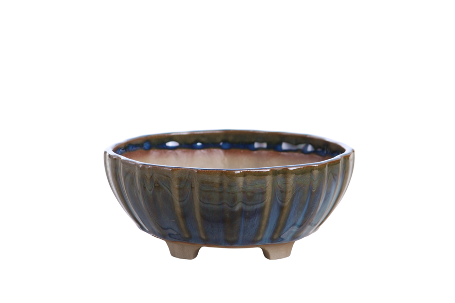 6-Inch Lily Bonsai Pot - Peacock 2025