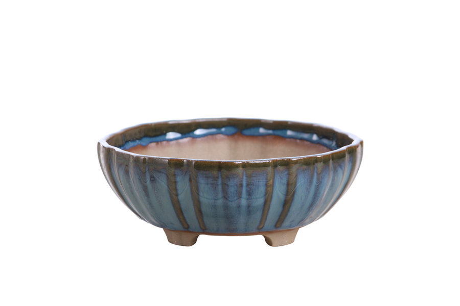 7-Inch Lily Bonsai Pot - Peacock 2025