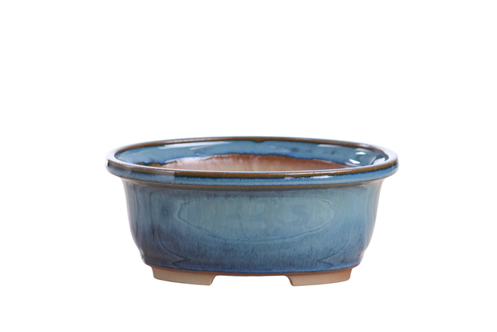6.5-Inch Fat Oval Bonsai Pot - Peacock 2025
