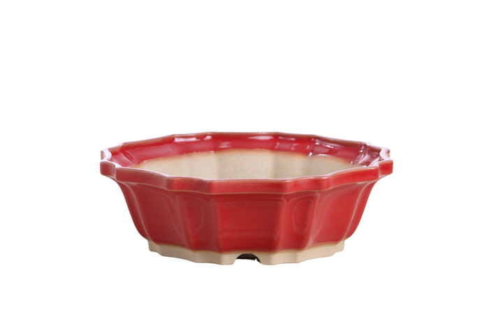 8-Inch Flower Bonsai Pot - Red
