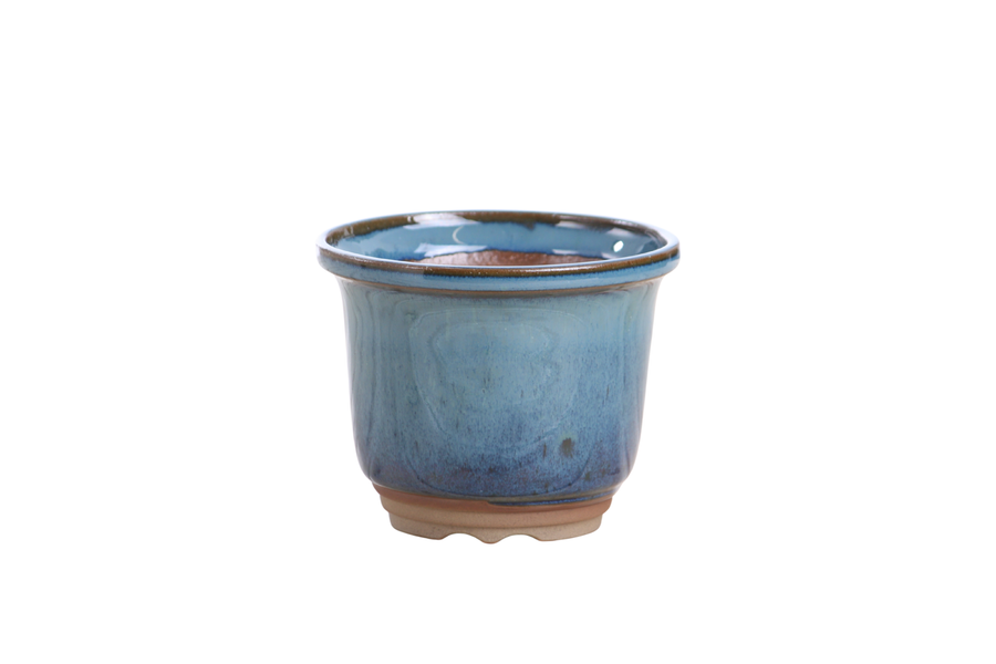 4-Inch Flute Bonsai Pot - Peacock 2025