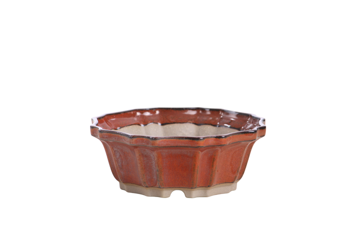 5-Inch Flower Bonsai Pot - Sunset