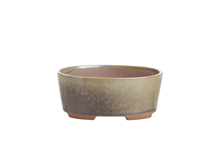 6-Inch Oval A Bonsai Pot - Copenhagen
