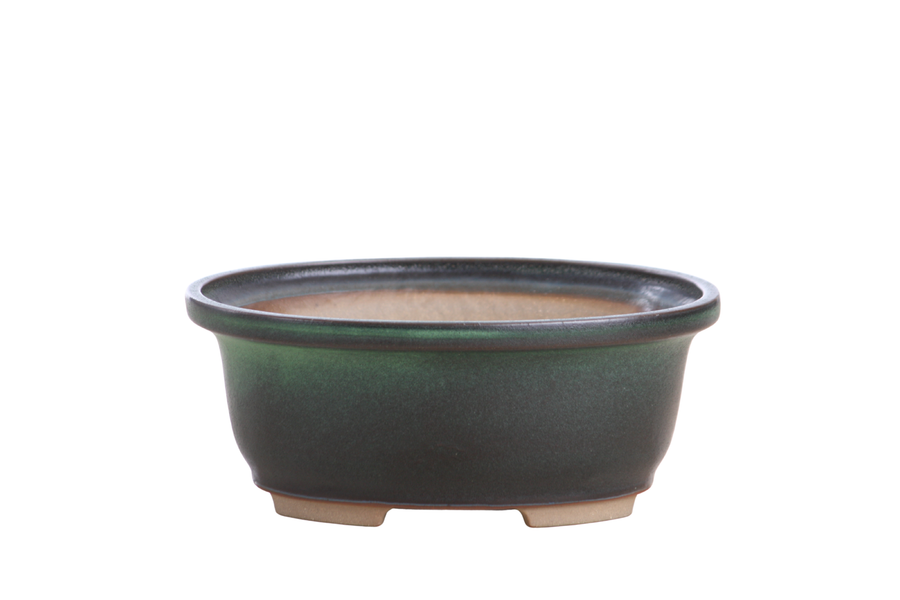 6.5-Inch Fat Oval Bonsai Pot - Avocado